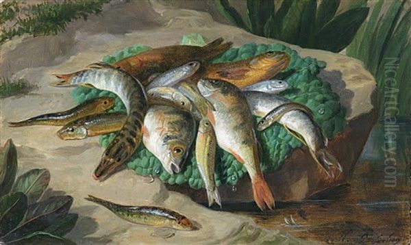 Nature Morte Aux Poissons Oil Painting by Francois Frederic Grobon