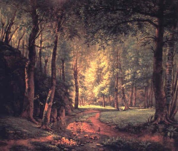 Paysage De Sous-bois Avec Un Cerf Et Une Biche by Jean Michel Grobon