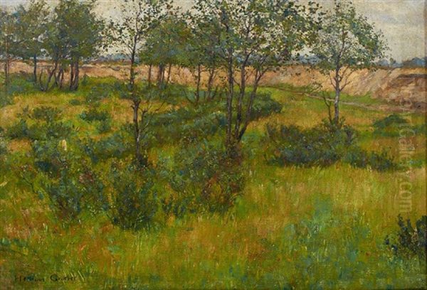 Moorlandschaft Mit Buschen Und Baumen Oil Painting by Hermann Groeber