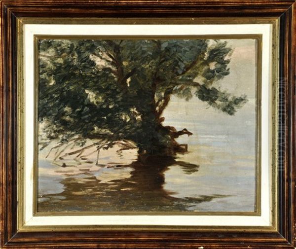 Fraueninsel - Von Wasser Umspulter Baum Oil Painting by Hermann Groeber