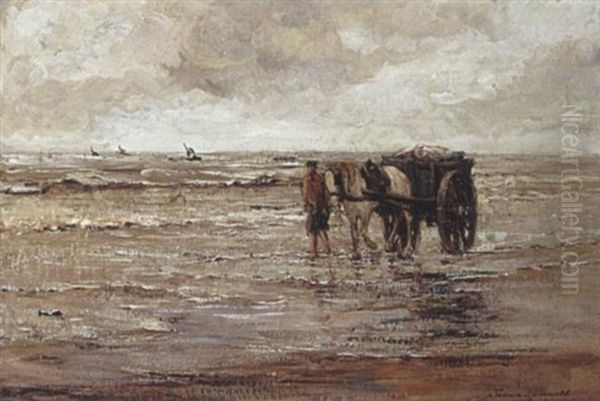 A Shell Fisher On The Beach Oil Painting by Tamine Tadama Groeneveld