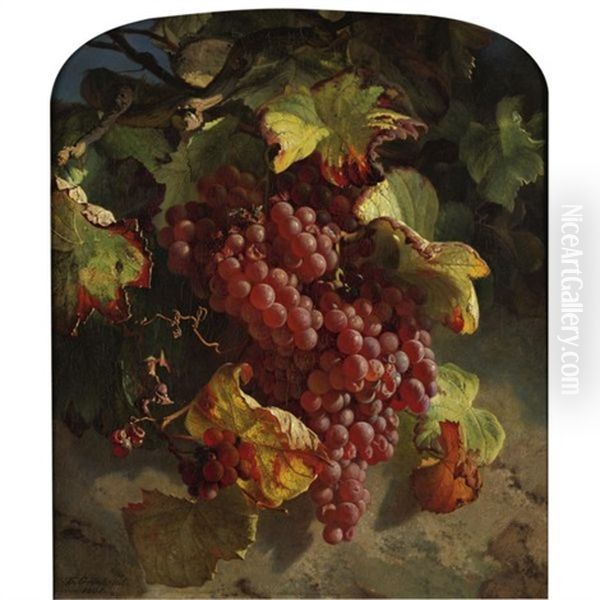 Grapes On A Vine Oil Painting by Theude Groenland