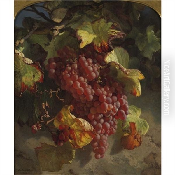 Grapes On A Vine Oil Painting by Theude Groenland