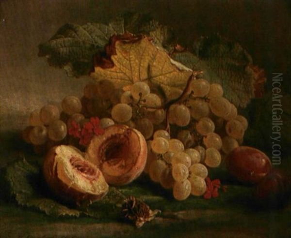 Stilleben Med Druer, Plommer Og Fersken Oil Painting by Theude Groenland