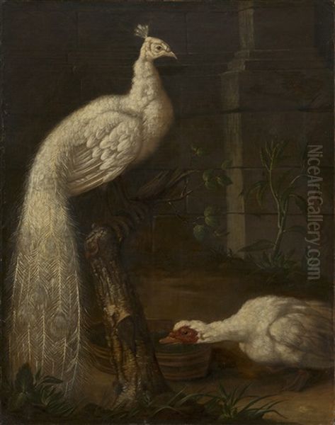 A Goose And A White Peacock Oil Painting by Johann Friedrich Grooth