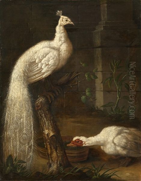 A Goose And A White Peacock Oil Painting by Johann Friedrich Grooth