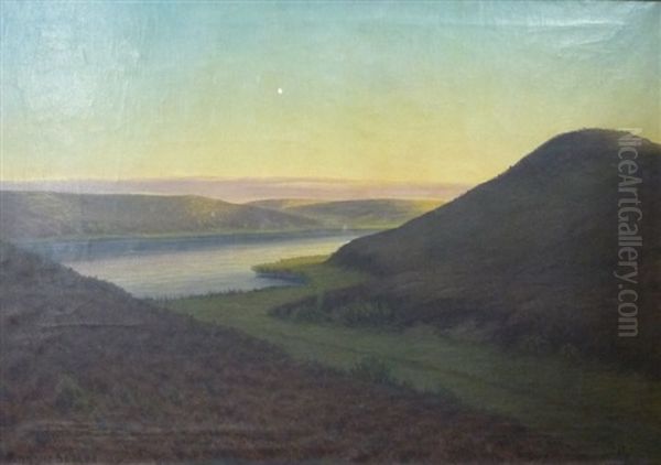 Weite Landschaft In Danemark Oil Painting by Ernst Thorvald Groth