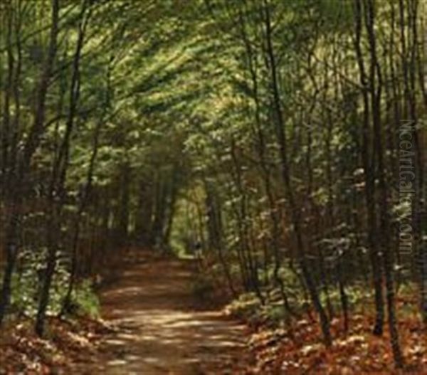 The Sun Penetrating The Treetops In Lellinge Forest, Denmark Oil Painting by Vilhelm Groth