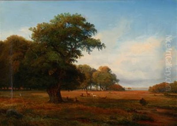 Skov Partie Ved Vejle Fjord Oil Painting by Nordahl (Peter Frederik N.) Grove