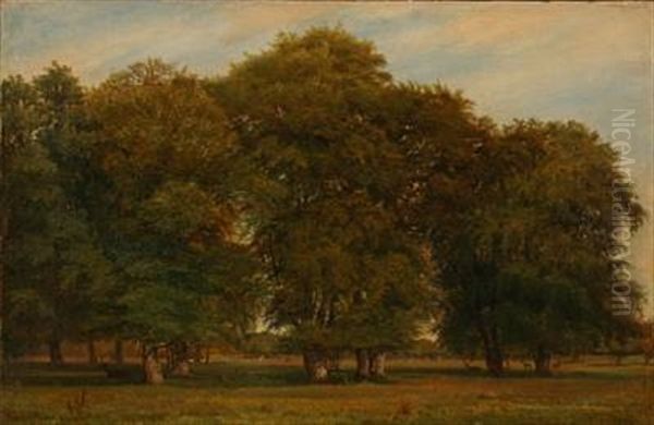 A Summer Day In Dyrehaven Forest, Denmark Oil Painting by Nordahl (Peter Frederik N.) Grove