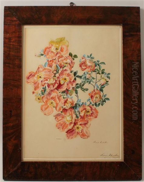 Orangegelbe Rosen Oil Painting by Franz Xaver Gruber