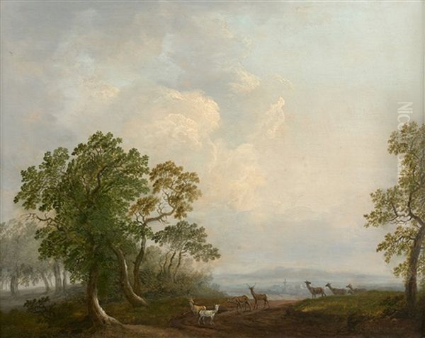 Cerfs Et Biches Dans La Foret Oil Painting by Basilius Grundmann