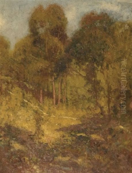 Path Among The Trees Oil Painting by Elioth Gruner