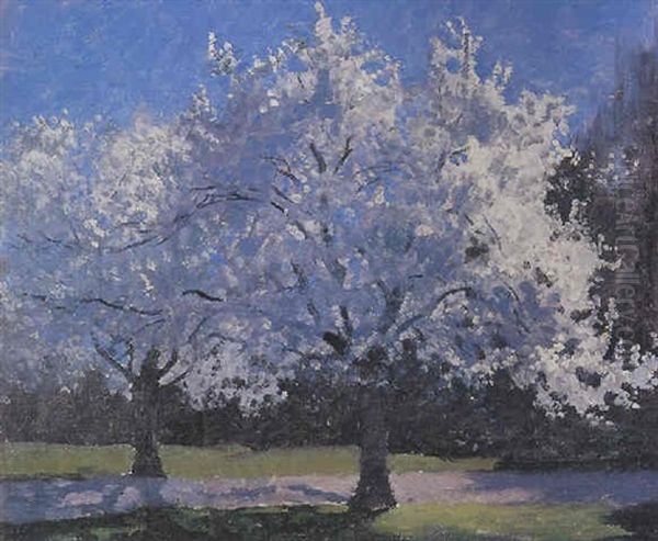 Blossom Trees Oil Painting by Elioth Gruner