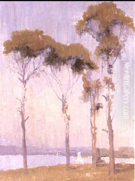 Gum Trees Oil Painting by Elioth Gruner