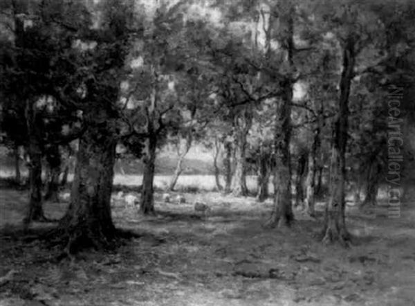 Pastoral Scene With Sheep In A Wooded Clearing Oil Painting by Charles Paul Gruppe