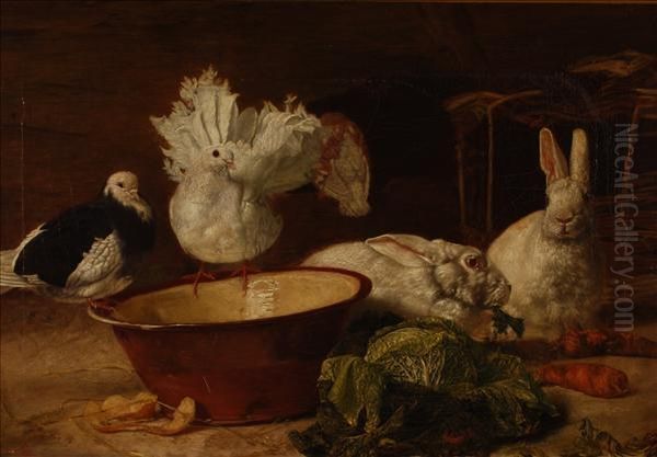 Doves And Rabbits Inan Interior With A Bowl And A Cabbage Oil Painting by R. Baird