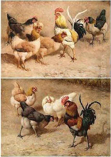 Cockerel And Hens Oil Painting by William Baird