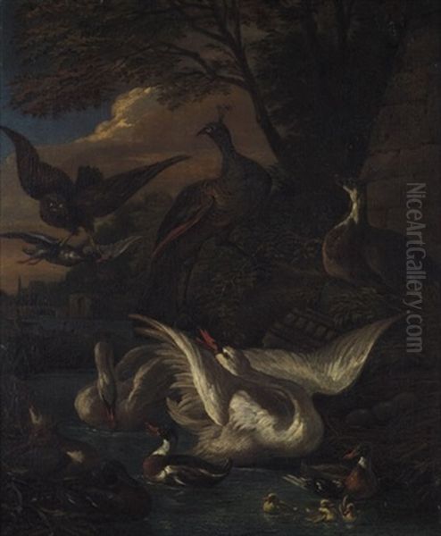 Landschaft Mit Pfauen, Schwanen, Enten Und Einem Greifvogel by Adriaen de Gryef