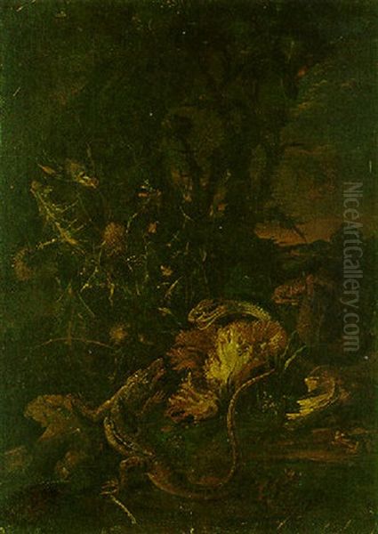 A Forest Floor Still Life With Lizards, A Thistle, Frogs And A Butterfly Oil Painting by Adriaen de Gryef