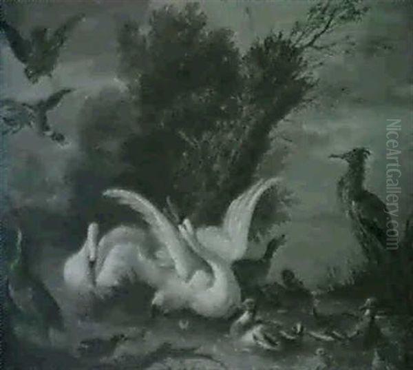 Schwane, Enten Und Reiher Am Wasser, Von Einem Raubvogel    Angegriffen Oil Painting by Adriaen de Gryef