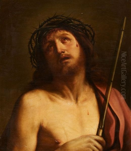 Ecce Homo Oil Painting by  Guercino