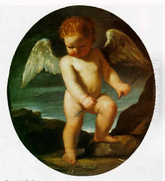 Infant Cupid Oil Painting by  Guercino