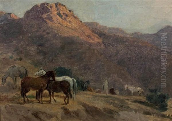 Chevaux Arabes Oil Painting by Gustave Achille Guillaumet