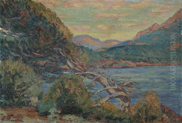 Paysage De Provence Oil Painting by Armand Guillaumin