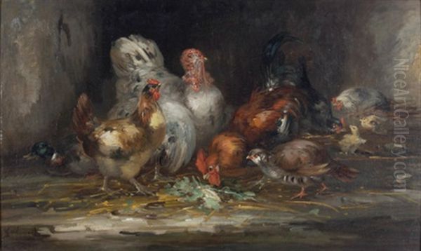 Stilllben Mit Federvieh: Hahn, Huhner, Ente U. Truthahn Oil Painting by Claude Guilleminet