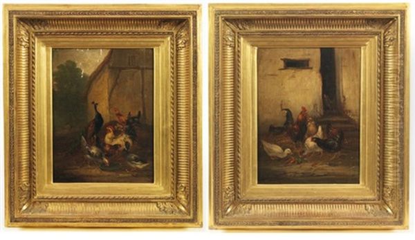 Paon, Poules Et Canards (+ Coq, Poules Et Canards; Pair) by Claude Guilleminet