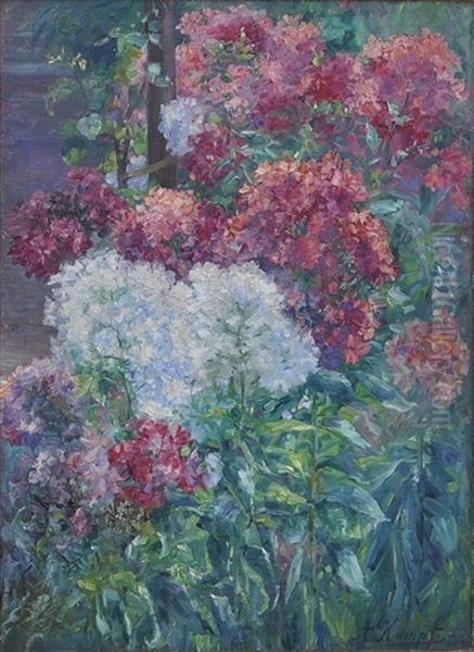 Bluhender Phlox Oil Painting by Anna Gumlich-Kempf