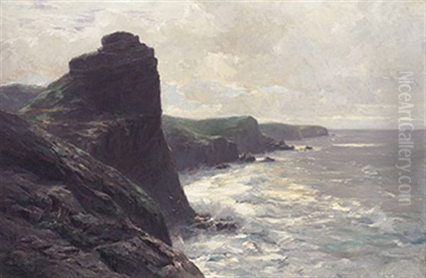 Steilkuste Am Meer Im Sonnigen Morgenlicht Oil Painting by Erwin Carl Wilhelm Guenther