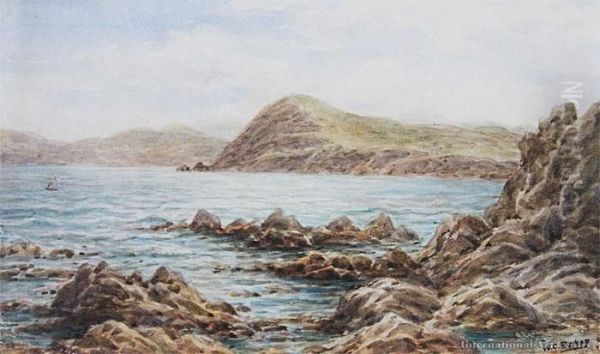 Mt Cooper, Titahi Bay Oil Painting by William George Baker