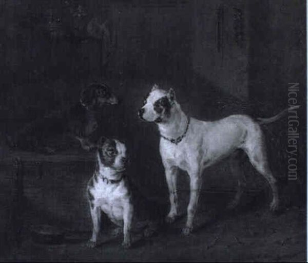 Drei Hunde Oil Painting by Hans (Johann) Haag