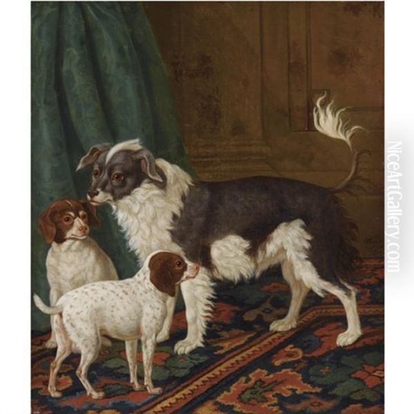 A Longhaired Black-and-white Dog With Bushy Tail And Two Brown Spotted White Puppies In An Interior Oil Painting by Tethart Philip Christian Haag