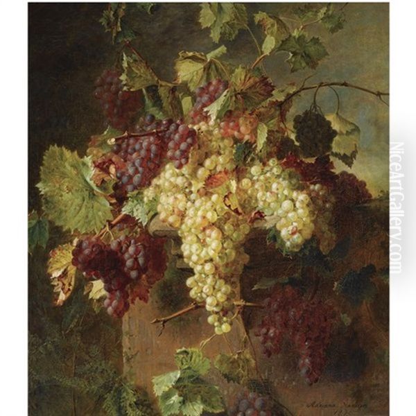 A Still Life With Grapes Oil Painting by Adriana Johanna Haanen