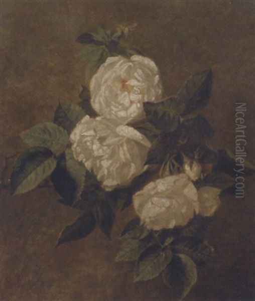 A Cluster Of White Roses Oil Painting by Adriana Johanna Haanen