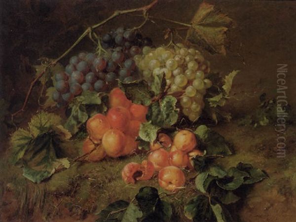 A Still Life With Grapes And Apricots Oil Painting by Adriana Johanna Haanen