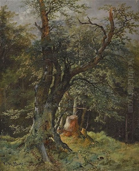 Knorriger Baum Auf Waldlichtung Oil Painting by Remigius Adrianus van Haanen