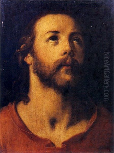 Le Christ En Buste Oil Painting by Cornelis Cornelisz Van Haarlem