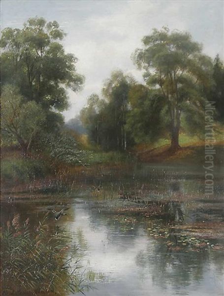 Schilfbewachsener Teich Mit Enten Und Baumen Im Hintergrund Oil Painting by Horst Hacker