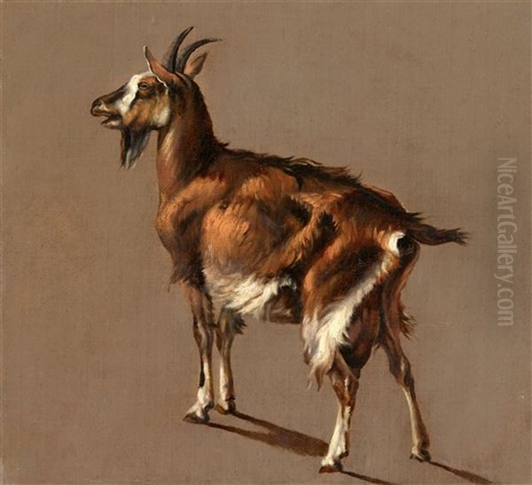 Study Of A Goat Oil Painting by Jacob Philipp Hackert