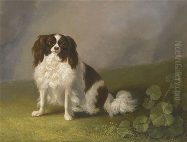 Portrait Of A King Charles Spaniel In A Landscape Oil Painting by Jacob Philipp Hackert