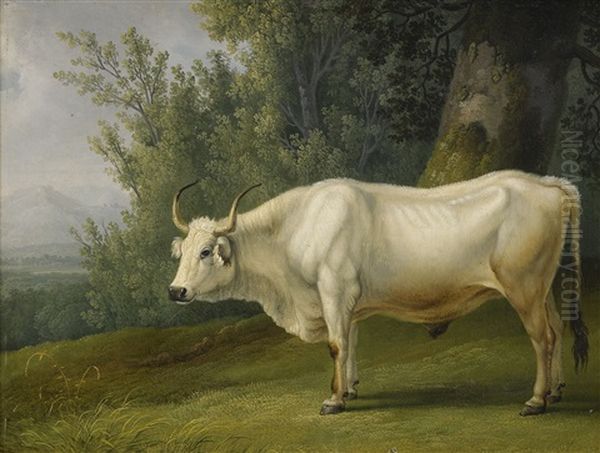 Landskap Med Tjur Oil Painting by Jacob Philipp Hackert