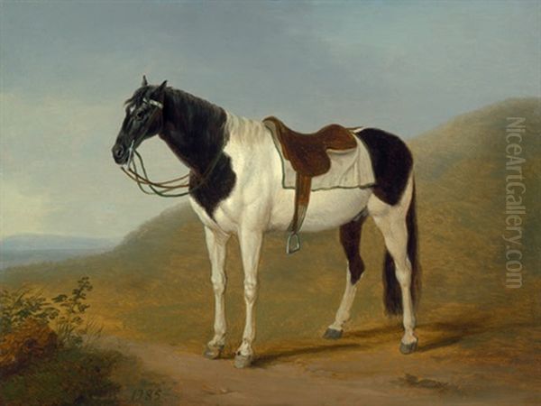 Der Schwarz-weis Gescheckte Hengst Des Englischen Gesandten Sir William Hamilton Oil Painting by Jacob Philipp Hackert