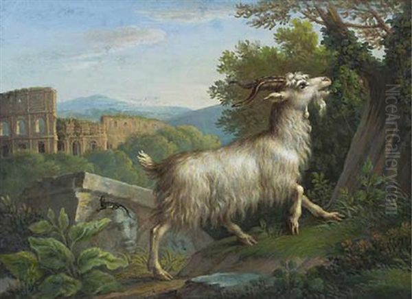 A Goat Eating By The Colosseum, Rome by Jacob Philipp Hackert