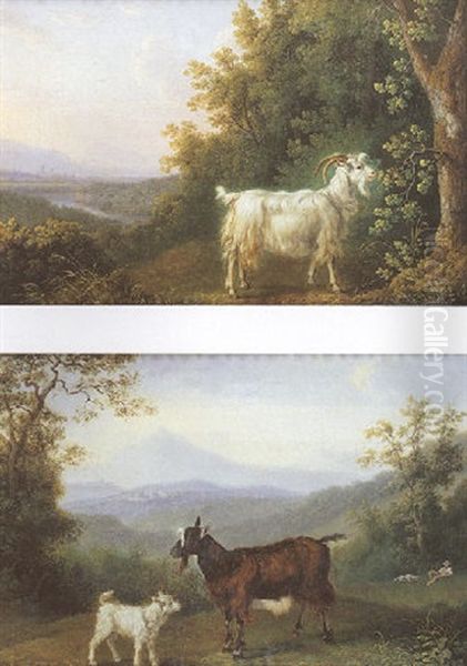 Bouc Dans Un Paysage Oil Painting by Jacob Philipp Hackert