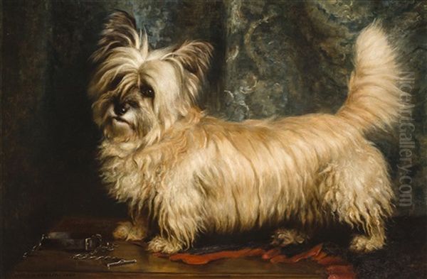 Portrait Of A Skye Terrier Oil Painting by Nellie Hadden