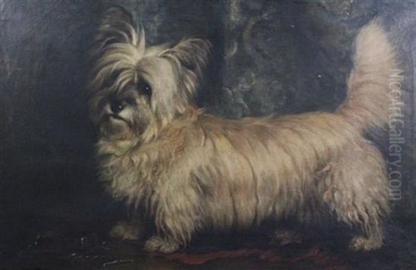 Portrait Of A Terrier Oil Painting by Nellie Hadden